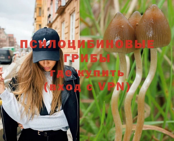 марки lsd Нязепетровск