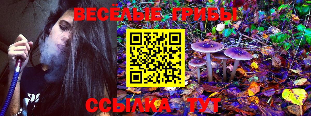 что такое наркотик  Галлюциногенные грибы прущие грибы  Вход с VPN  Сосновоборск 