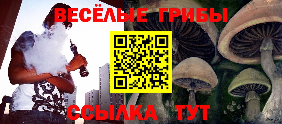 Псилоцибиновые грибы GOLDEN TEACHER Сосновоборск